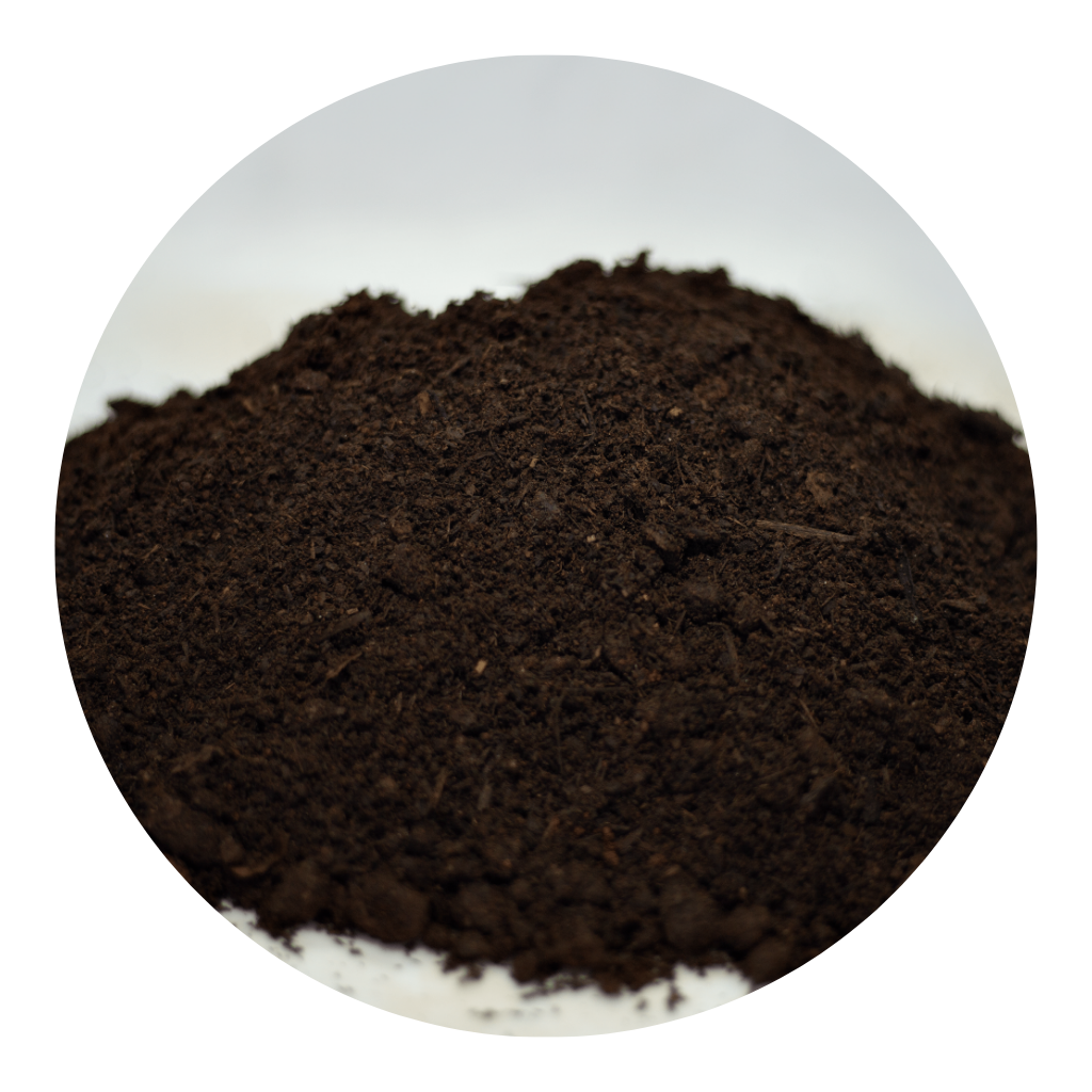 TERRA PREPARADA BOA VISTA 10KG