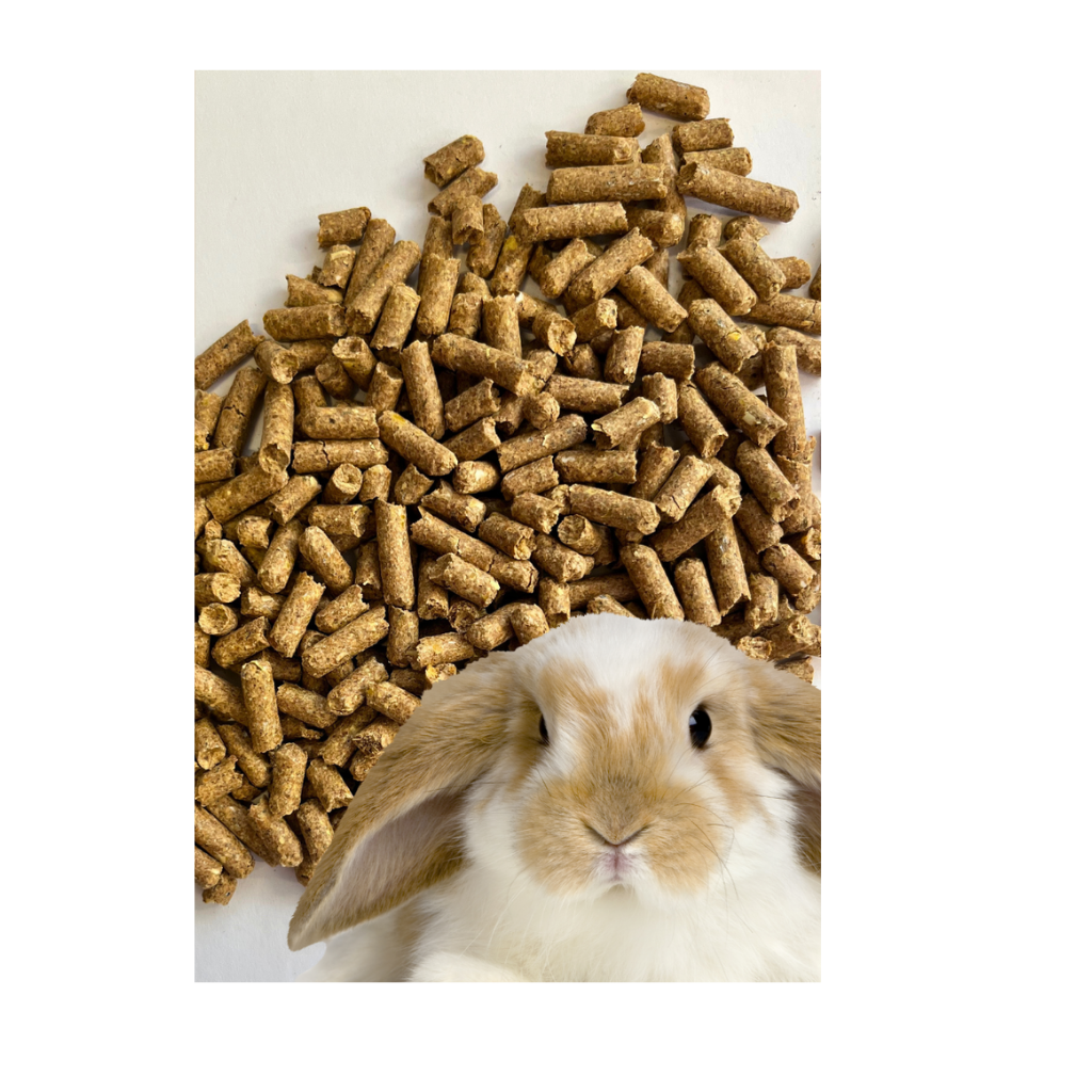 RACAO P/COELHO KG GRANEL