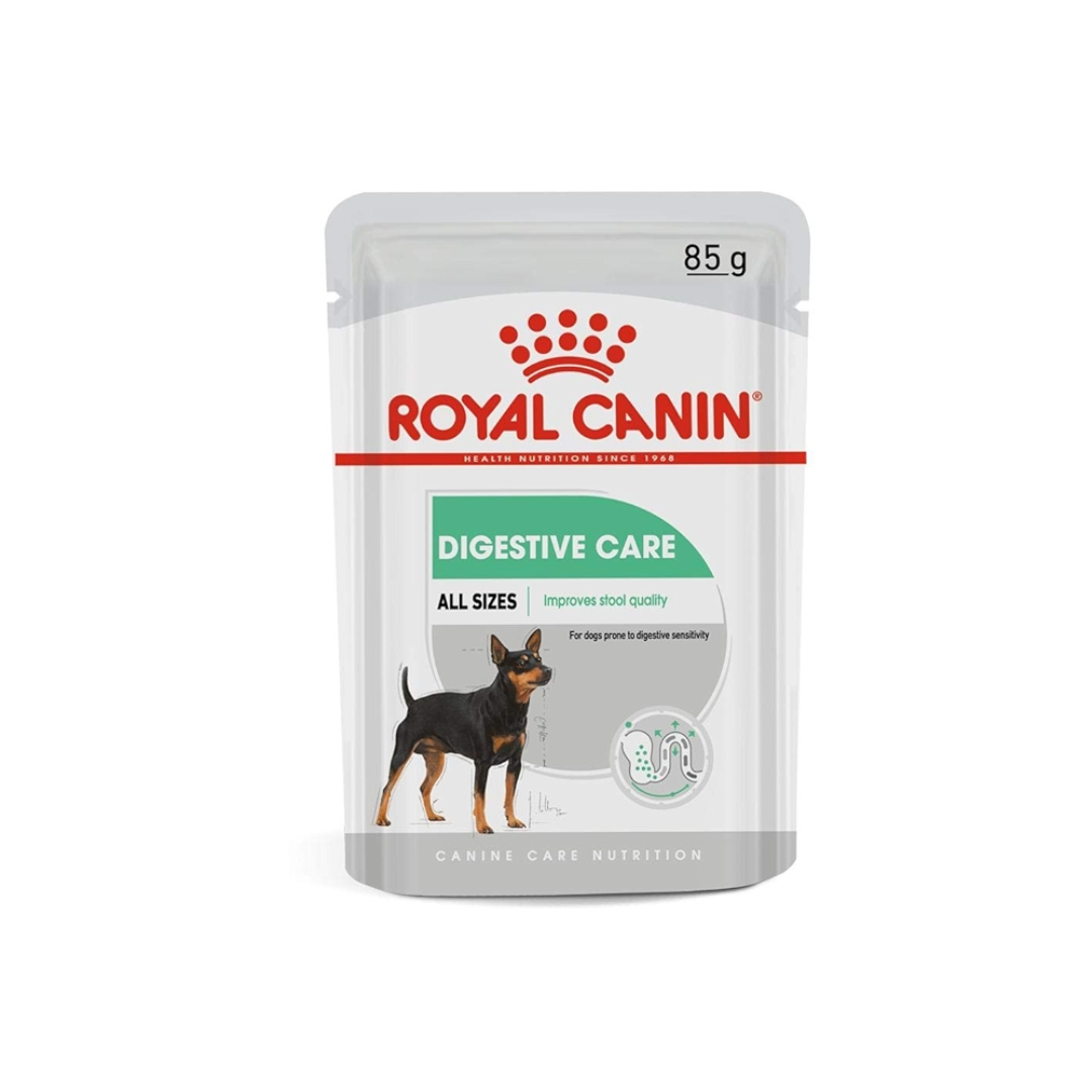 ACC CCN DIGESTIVE CARE WET 85G