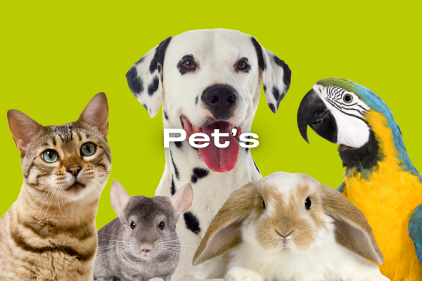 Pet's