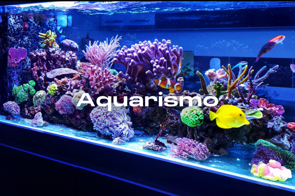 Aquarismo