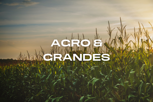 Agro & Grandes